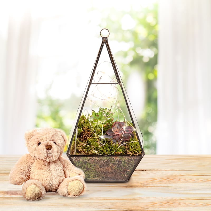 Earthly Eden Terrarium & Bear Gift