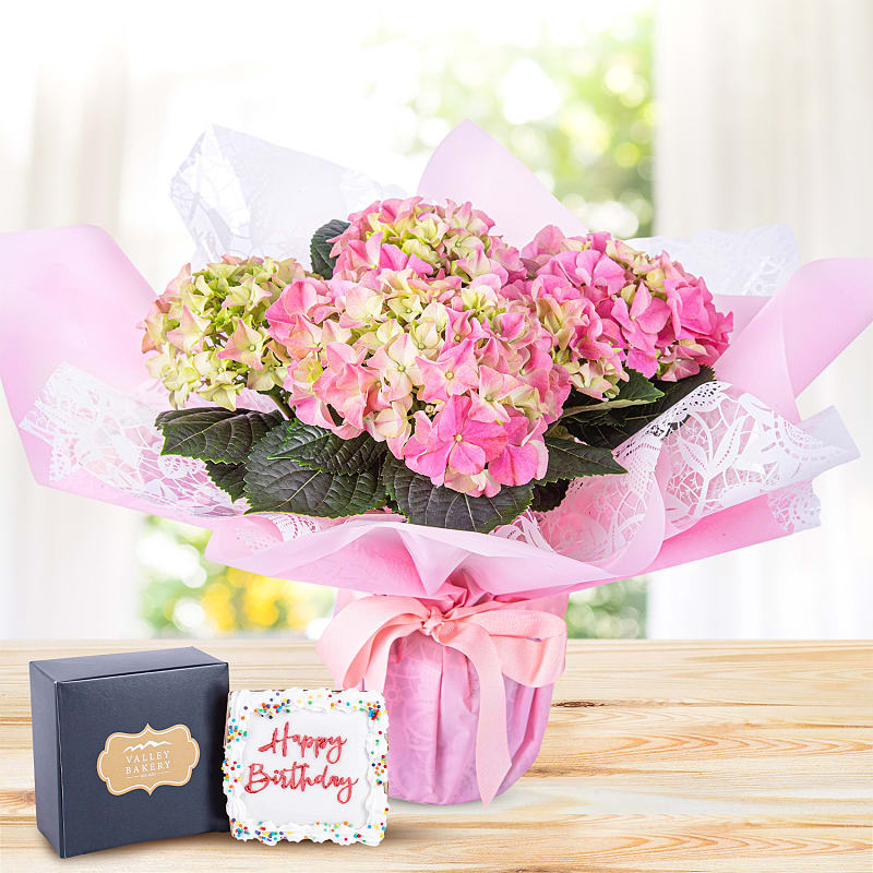 Hydrangea Haven Birthday Gift