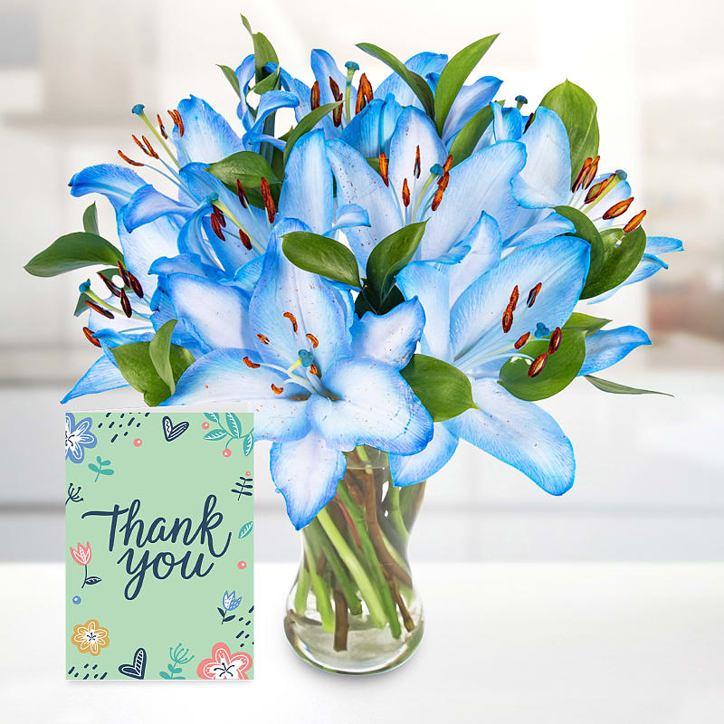 Sea Breeze with Thank You Card