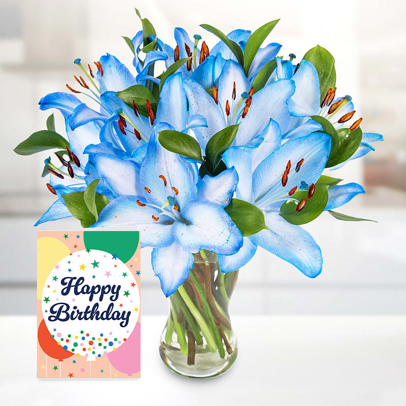 Sea Breeze with Birthday Card
