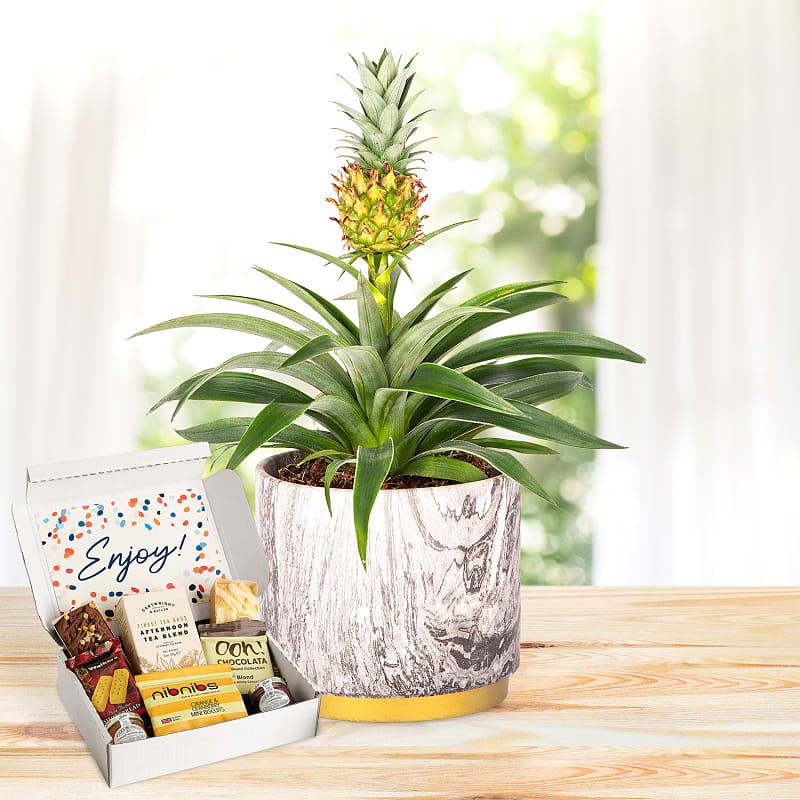 Autumn Pineapple Afternoon Tea Gift