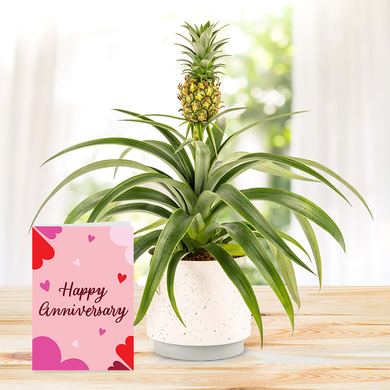 Spring Pineapple with Happy Anniversary Card