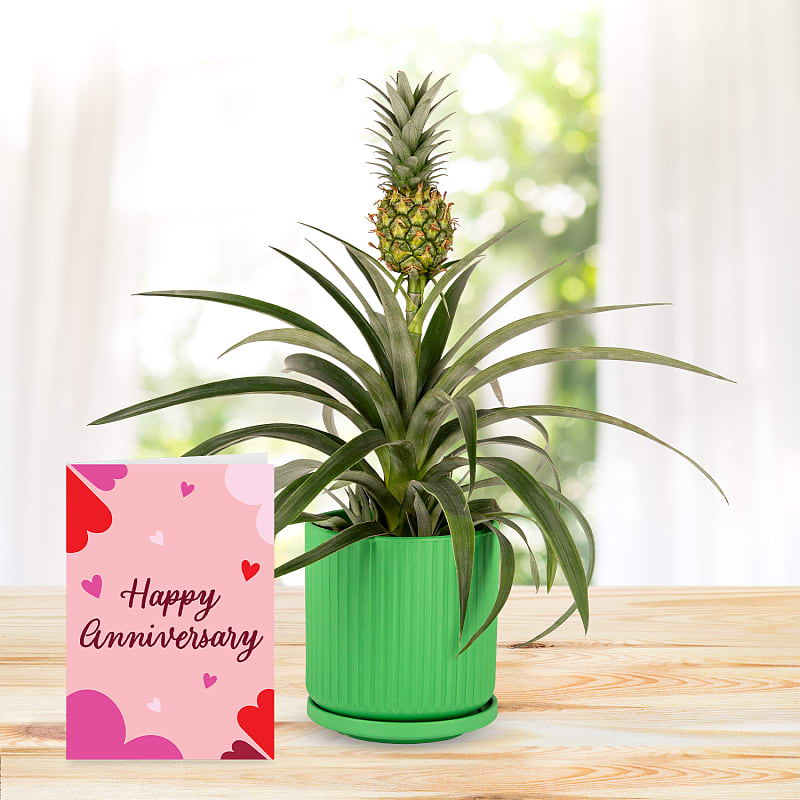 Spring Pineapple with Happy Anniversary Card