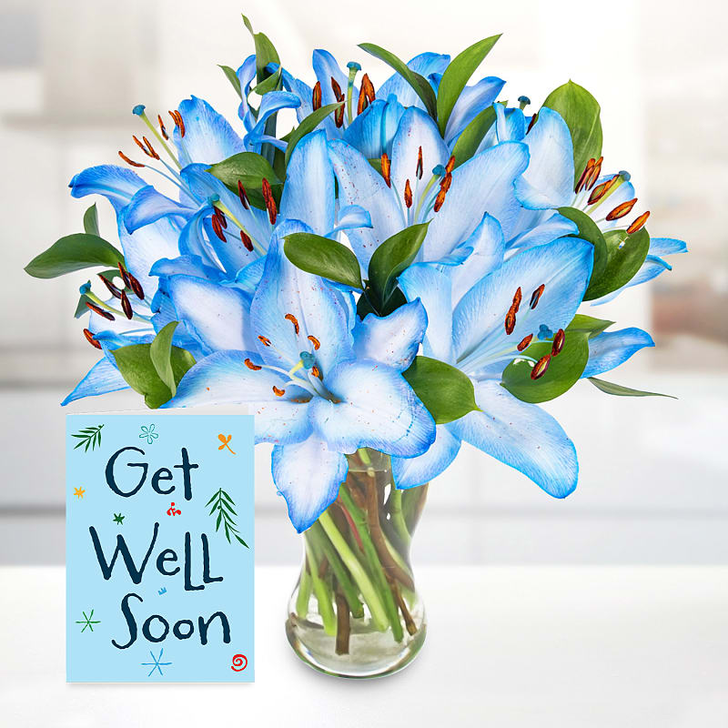 Sea Breeze with Get Well Soon Card