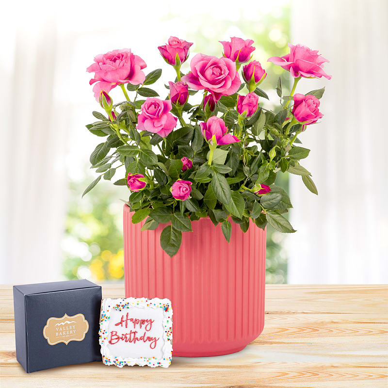Timeless Roses Birthday Gift