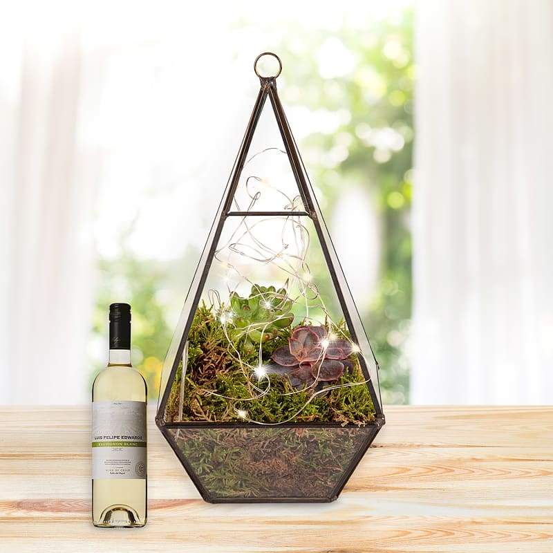 Earthly Eden Terrarium White Wine Gift