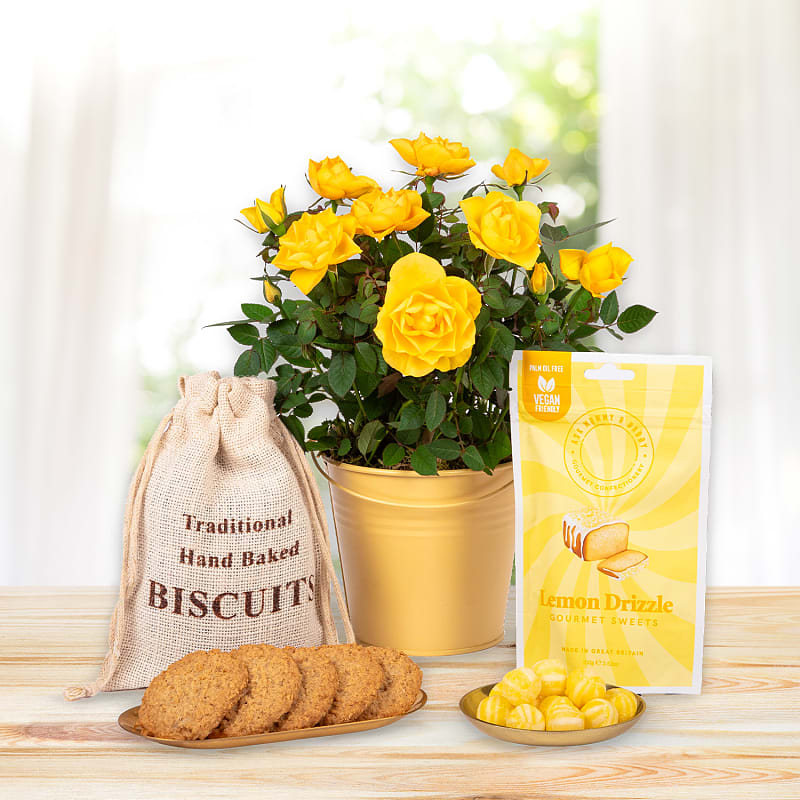 Citrus Rose Gift