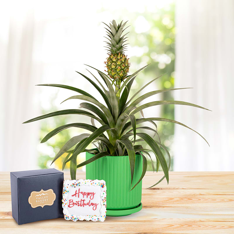 Spring Pineapple Birthday Gift