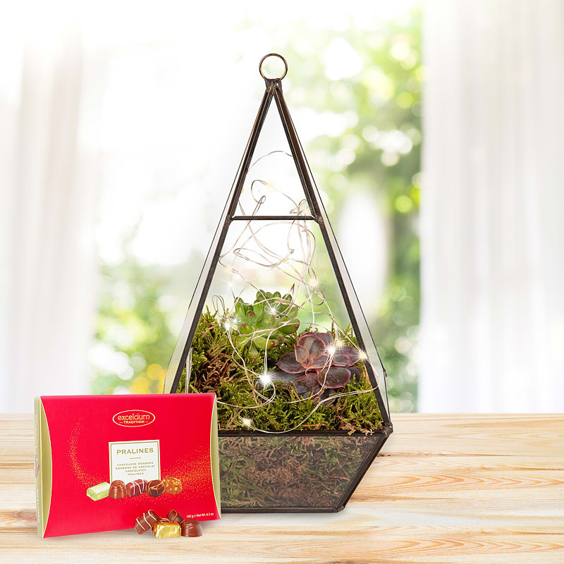 Earthly Eden Terrarium Luxury Gift 