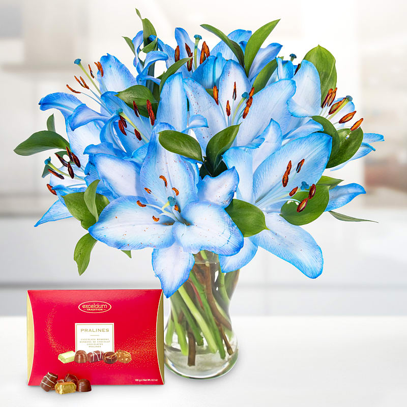 Sea Breeze Luxury Gift