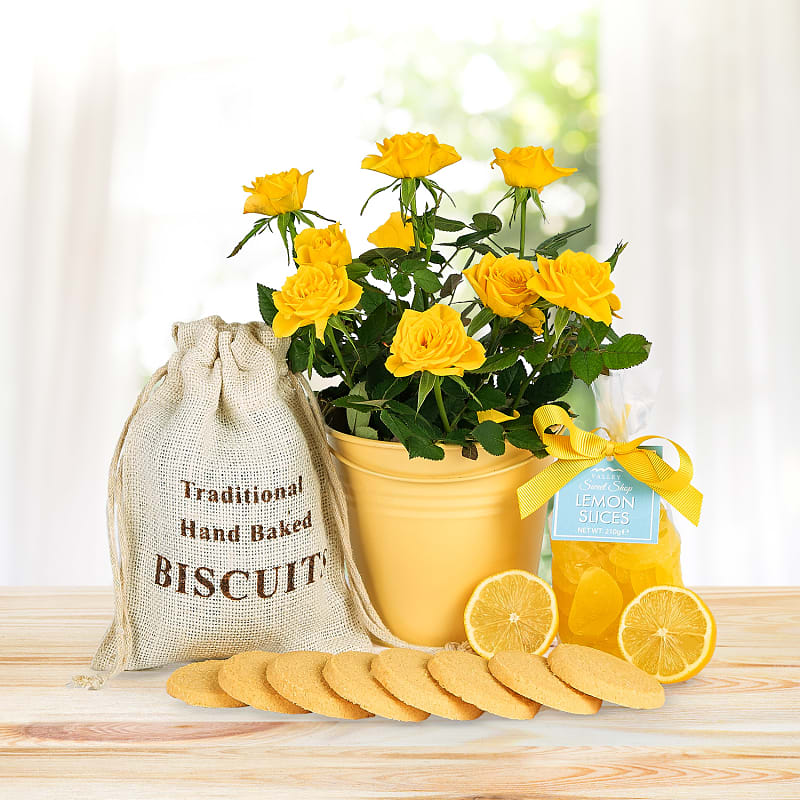 Citrus Rose Gift