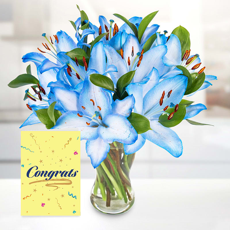 Sea Breeze with Congratulations Card