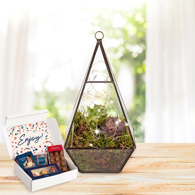 Earthly Eden Terrarium Chocolate Gift
