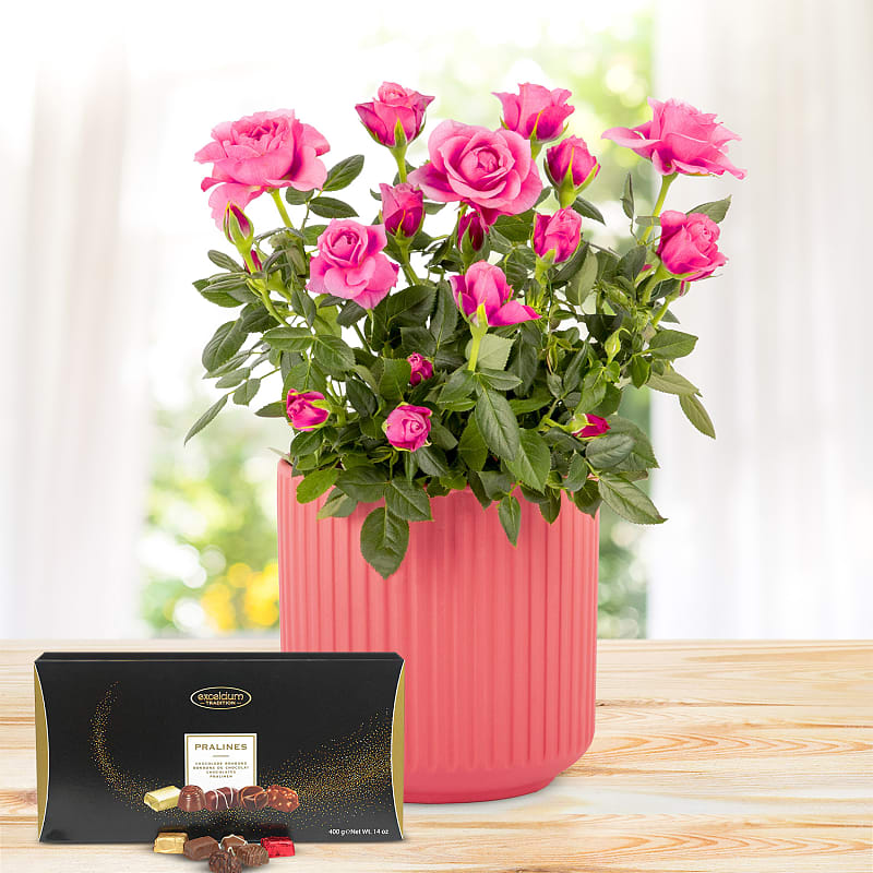 Timeless Roses Deluxe Gift 
