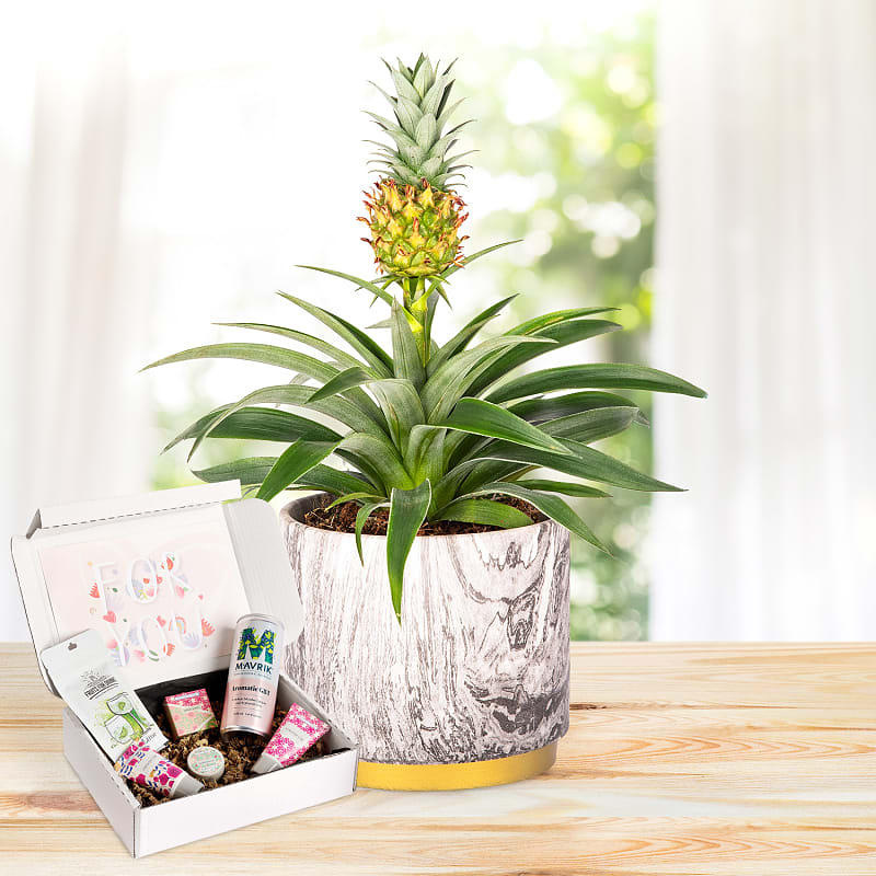 Autumn Pineapple Pamper Gift 