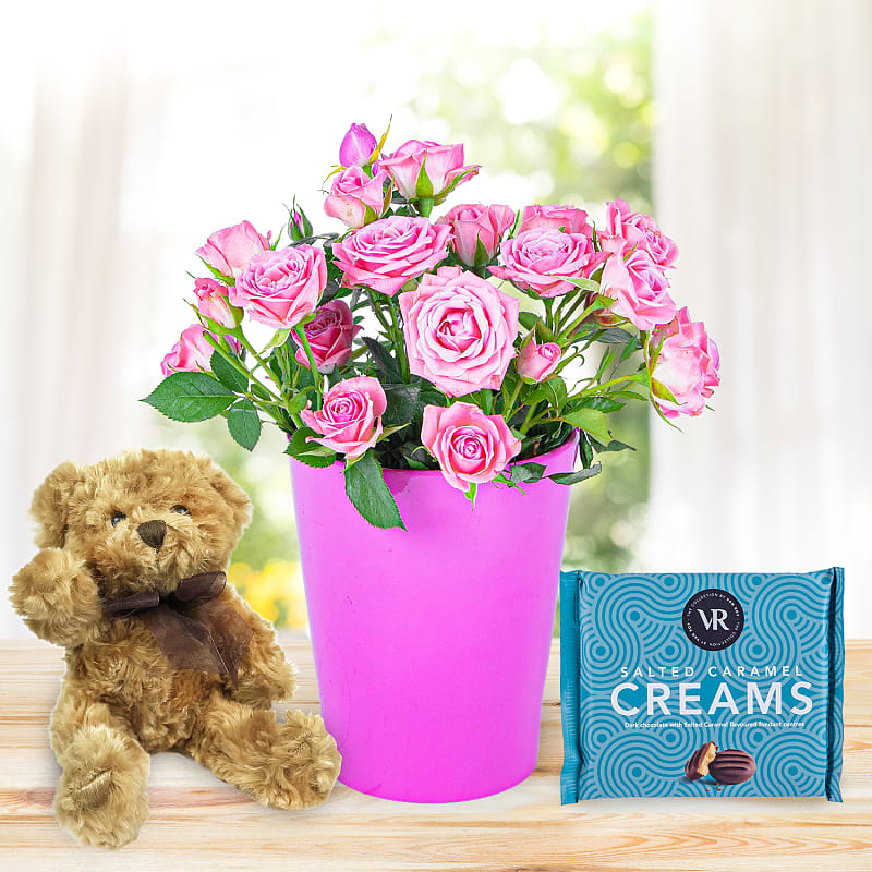 Classic Pink Roses Gift B&M Flowers